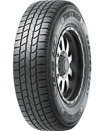 TS-69 A/T 臨時(shí)-乘用車