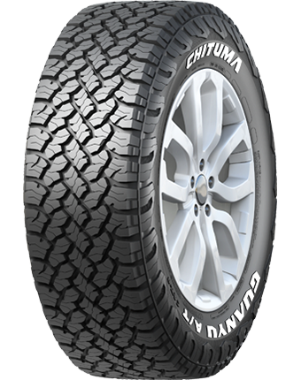 CAT8 臨時-乘用車